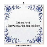 Regen Wijsheid Sticker by Tegelspreuken.nl