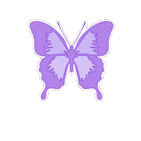 Butterfly Sticker