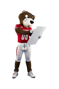Happy Football Sticker by University of South Alabama