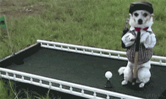 Golfing Ryder Cup GIF