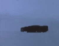 Surfacing North Pole GIF by US National Archives
