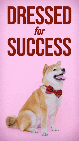 Lets Go Omg GIF by Sealed With A GIF