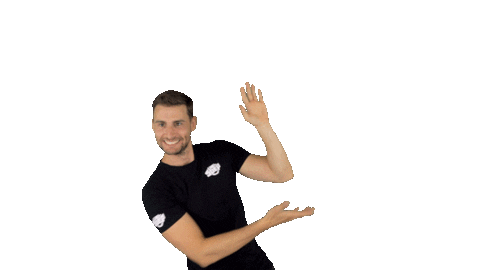 Dj Carnaval Sticker by LINKESOEP