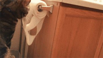 unrolling toilet paper GIF