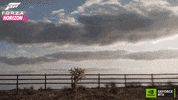 Racing Pc GIF by NVIDIA GeForce
