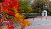 chapel hill fall GIF
