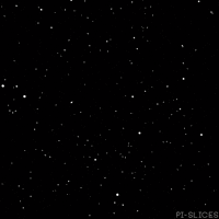 Black And White Loop GIF by Pi-Slices