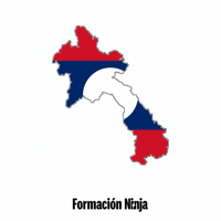Flag La GIF by Formación Ninja