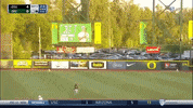 BeaverBaseball baseball ncaa oregon state GIF