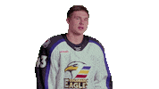 Sticker by Colorado Eagles