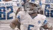 National Football League GIF by NFL