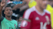 euro 2016 GIF by Sporza
