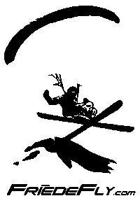 friedefly snow action swing redbull Sticker