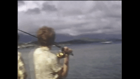 jeff the brotherhood family GIF by Infinity Cat Recordings