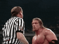 triple h wrestling GIF by WWE