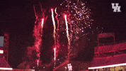 Celebrate University Of Houston GIF by Coogfans