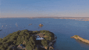 rhode island GIF