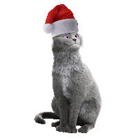 Frohe Weihnachten Kinofilm Sticker by Die Schule der magischen Tiere - Der Film