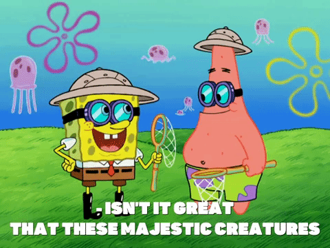 season 7 GIF by SpongeBob SquarePants