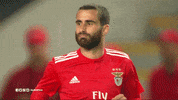 sl benfica rafa GIF by Sport Lisboa e Benfica