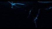 Think About It Mind Blown GIF by 070 Phi