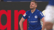 Football Sport GIF by FC Schalke 04