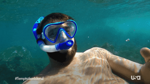 Usa Network Television GIF by Temptation Island