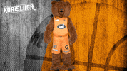 The Bear Mascot GIF by Basket_fi