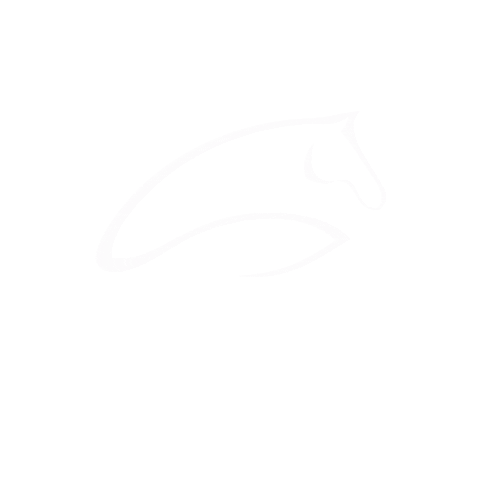 SophieHypo giphyupload horse horses cheval Sticker