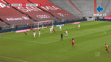 Happy Germany GIF by MolaTV