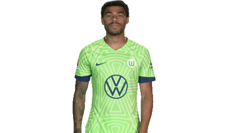 Football Applause Sticker by VfL Wolfsburg