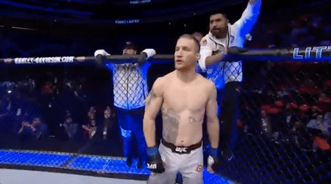 mma ufc218 GIF by UFC
