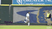 Usl Championship Soccer GIF by USL