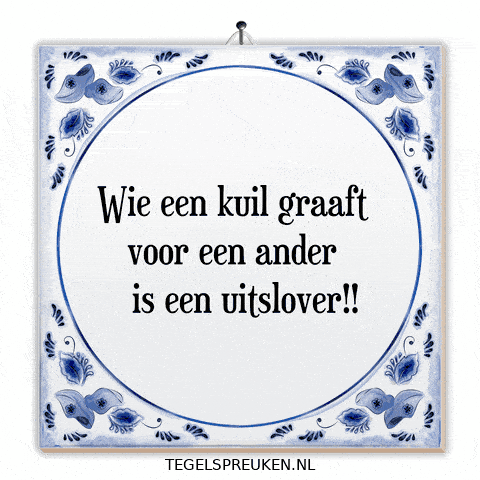 Spot Nl GIF by Tegelspreuken.nl