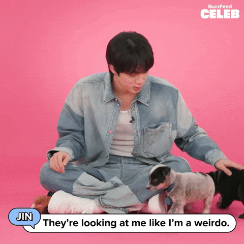 K Pop Puppy GIF by BuzzFeed