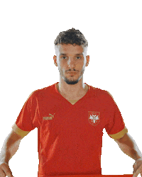 Srcemsvim Sticker by sportmts