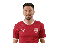 Filipmladenovic Sticker by sportmts