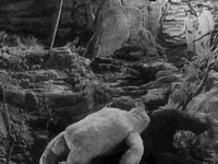 classic film GIF by Warner Archive