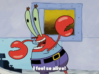 selling out season 4 GIF by SpongeBob SquarePants