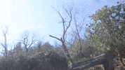 Grading John Deere GIF by JC Property Professionals