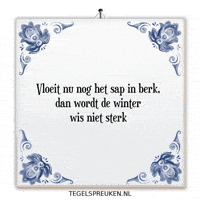 Winter Hoop GIF by Tegelspreuken.nl