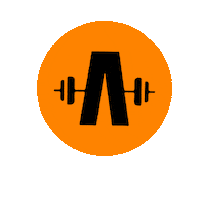 Workout Sticker by Anshel Fitness