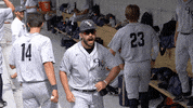 oruathletics oru orubaseball oral roberts oruathletics GIF