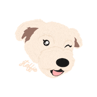 Dog Wink Sticker