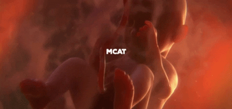 mikemars1012 giphygifmaker GIF