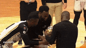 British Basketball Playoffs GIF by Hoopsfix