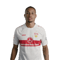 Quiet Please Football Sticker by VfB Stuttgart