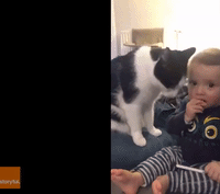 Cat Showers Baby With Affection
