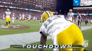 Green Bay Packers Football GIF by NFL