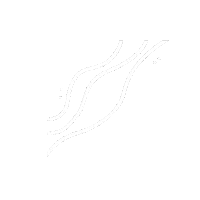 Sosoroutine lines linhas borders bordas Sticker